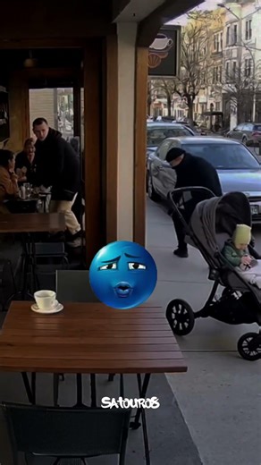 HERO CATS CLIPS😎 #cat #funny #cute