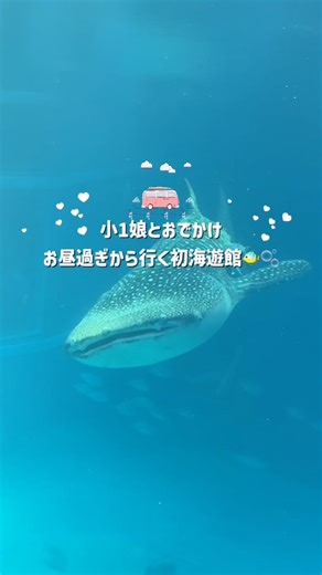 【子連れお出かけ】初めての海遊館🐠お昼からでも楽しめる？ #shorts #海遊館 #子連れお出かけ
