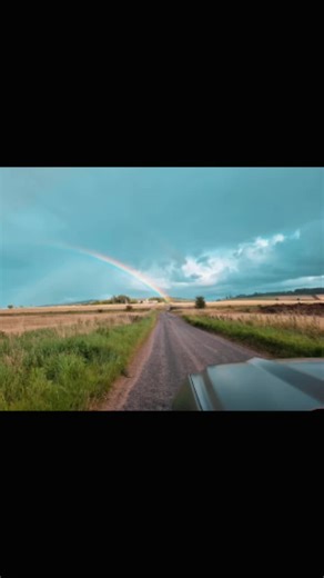 good morning #goodmorning #meme #theme #morning