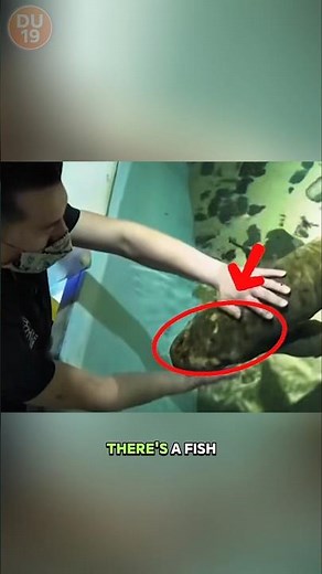 This Fish Can Live Up to 90 Years! and It’s Still Alive Today!