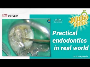 Practical endodontics in real world - [Dr. Kim Pyungsik]