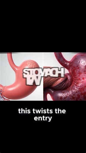 🥣 Does Your Dog Eat Too Fast? The Deadly Risk ⏳