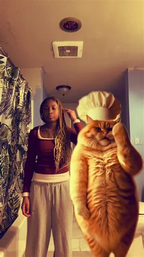 #bathroomcamping #newdancepartner #like #aicat #bsff