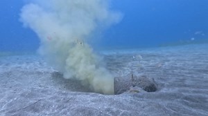 Nightmare in paradise: Canary Islands face wastewater crisis - GuardianTV