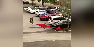 Goose goes beastmode on woman walking from her car as onlookers laugh their butt off: "Lord Jesus, fix it"