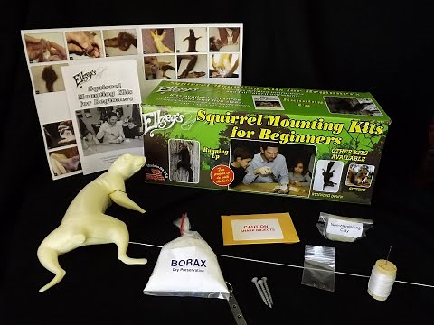 Squirrel Mounting Kit FAQ