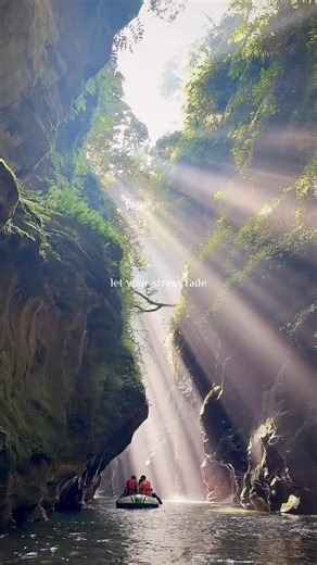 Asia Tour Trips on Instagram: "asia_tour_tripss 5 Days - Meghalaya Tour😍♥️ Meghalaya is a land of natural wonder. Explore the natural beauty of Meghalaya, which radiates awe-inspiring elegance. Shillong is also one of the best tourist destinations for nature lovers. We strive to design 4 nights 5 days Meghalaya Tour Package perfectly for you so that you can remember it forever. It covers Shilong, Meghalaya, Mawlynnong, and Cherrapunji, which has been known for the highest rainfall. Highlights B
