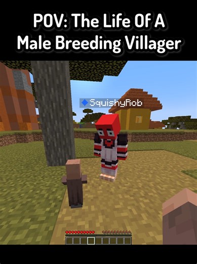 POV: The Life Of A Male Breeding Villager In Minecraft ( FT: @SquishyRob ) #Minecraft #mc #mcyt #funnymoments #minecraftmemes