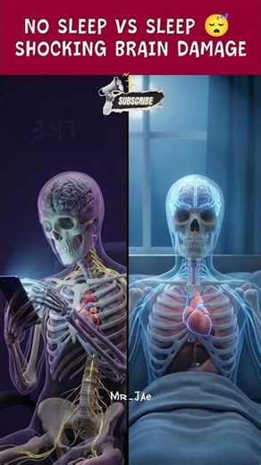Sleep vs No Sleep 😴 | What Happens Inside Your Body | 3D Animation #shorts