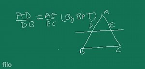 Using basic proportionality Theorem, prove that a line drawn th... | Filo