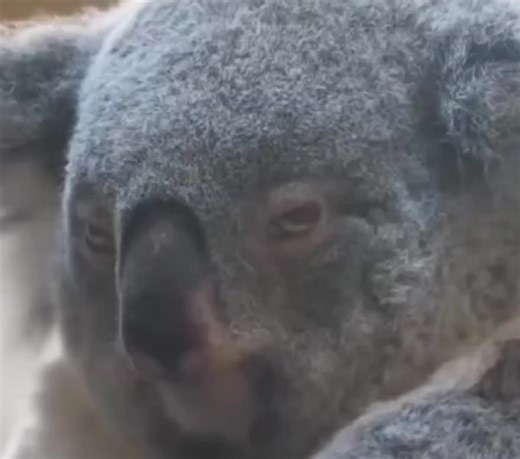 mattjmccann (@mattjmccann)’s videos with original sound - mattjmccann