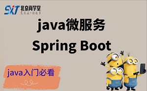 【java基础必看】java微服务框架spring boot-2021最新整理spring boot视频-2021java新手小白必看视频，超级通俗易懂java