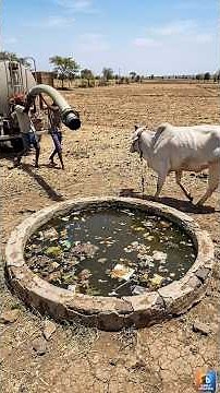 Transformation of an unclean village side pond to a clean pond for drinking clean water 🐄💦✨ #pond