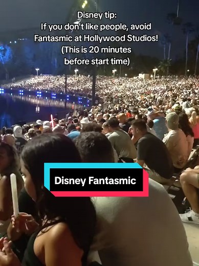 Fantasmic at Hollywood Studios: Best Tips for a Great View