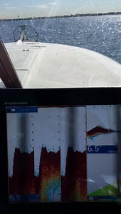 TimeZero Maxsea TZ2/12” Displays Fcv295 Triple beam Sonar page . If your chasing pelagic fish like Marlin Tuna & want to find Bait DFF3D Multibeam Sonar is what you need it runs a 120 degree beam angle & 41 beam angles it’s a Weapon 👌 #demandthebest #furuno #Maxsea #TimeZeroProfessional #Nxtradardoppler | Furuno Fishing Fanatics