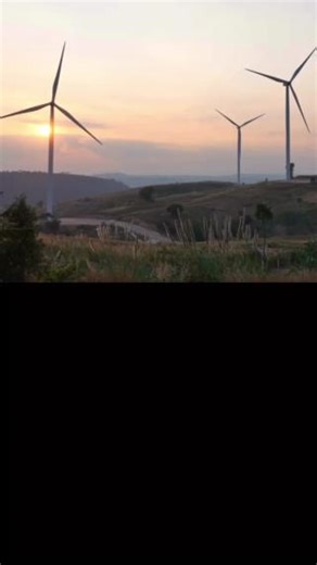 Bats and wind energy can do a lot for human communities and ecosystems, but wind turbines can be deadly for bats. So USGS scientists are trying to figure out the science of bat-wind energy interactions and how they might coexist. One approach is studying bat behavior at turbines with thermal cameras. Another approach is looking at where bat habitat overlaps with areas where wind energy exists or has been proposed. One team of USGS scientists are using tiny transmitters to track bats flying off t