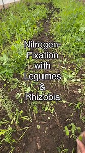 40K views · 575 reactions | Simplified explanation in the video ⬆️...