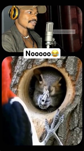 I think it just wants to play😂#funn #foryou #usa #uk #reaction