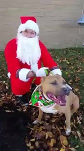 Shares for sweet Alex! | Almost Home Animal Shelter