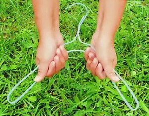 38K views · 152 reactions | Plant hacks and easy garden organization ideas! | Green Bean | Facebook