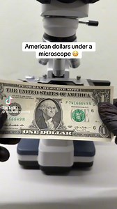 Dollar money under a microscope.mp4 | Filmi Spark