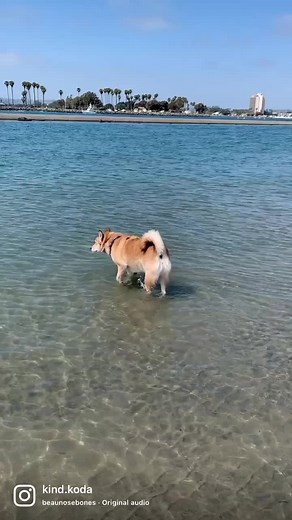 Kali_With_A_K (@kali.with.a.k)’s videos with original sound - Kali_With_A_K