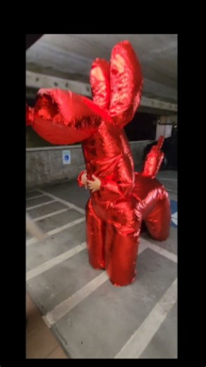 Heyy..it's your balloon lady in her balloon dog era!🤪😜 Man oh man..never would I imagine wearing a giant Halloween costume and walked around the busy Waikiki sidewalk during the Halloween Block Party! When I saw this balloon dog costume, I said this is it! But, still indecisive to wear it or not. Later that night, I went for it and whatever happens happens! Lol 😂😂 and we had a blast!!! Went home early and prep for all my weekend events! Hope everyone had a safe Halloween party! See you next 