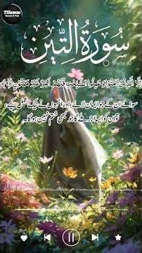 Surah At Tin Quran Recitation With Meaning