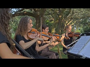Perfect - Ed Sheeran, Palmetto String Quartet