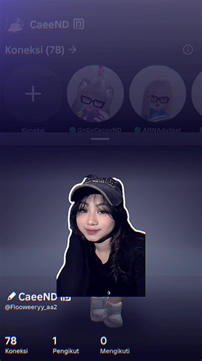 Roblox Fiesta Salon Edits