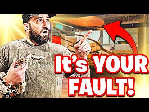 Your Enclosure is STRESSING Your Snake & YOU Don't Even Realize It! | Here's How To Fix it!
