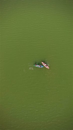 Raghav Goel on Instagram: "Location: Follow and Comment “KAYAK” and I’ll DM you the spot 🤫🌊 . . . Calm waters, endless green, and silence broken only by the sound of paddles. This was one of those rare places that makes you forget time, phone, and everything else. . . . If peaceful escapes had a definition, this would be it. #explorer #travel #travelinindia"