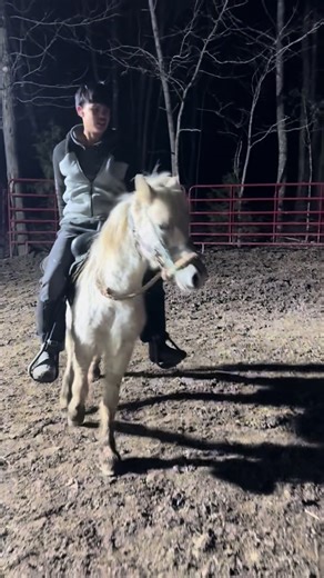 Understanding Bucking Horses: Reasons and Solutions