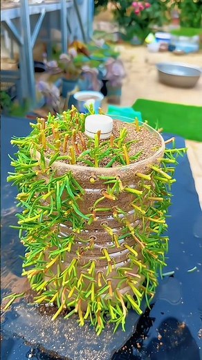 🌱 Plastic Bottle Se Vertical Garden Hack! Unlimited Plant Growth 😱 #DIYPlanter