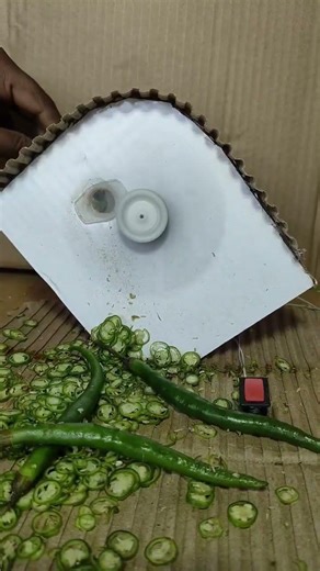 मरचू कटिंग 🌶️🌶️ DC motor new project