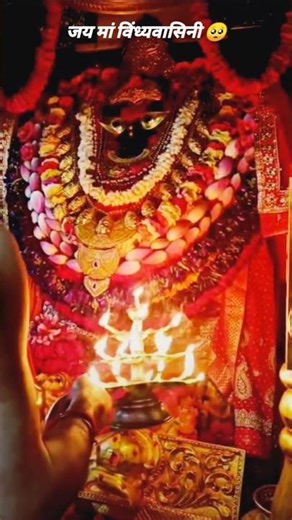 आदिशक्ती जगत जननी जय माँ विंध्यवासिनी 🥀🌿 #shorts #MaaVidhvashni #माँविध्वासिनी #JaiMaaVidhvashni