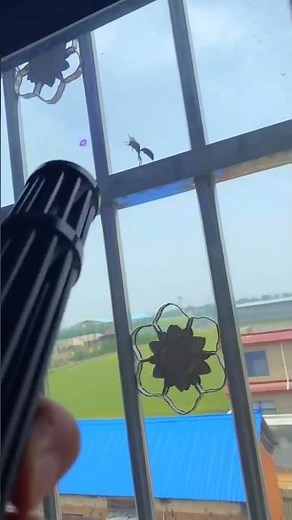 青色レーザー光でスズメバチを狙い撃ち #レーザーポインター #レーザー #ブルーレーザー #レーザービーム #light #レーザー光線 #スズメバチ#laser #laserpointer #蜂