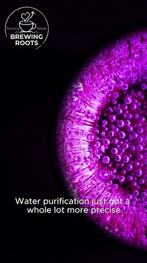 The New Technology Revolutionizing Clean Water 💧