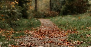 No Fee Until You Win - WA Injury Attorneys - Washington Law Center