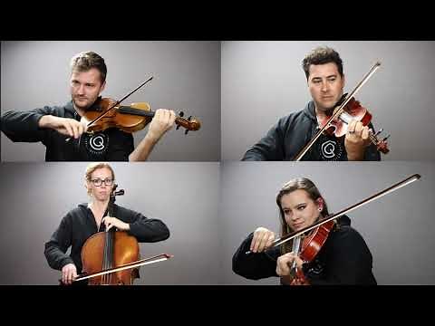 10,000 Hours - Dan + Shay, Justin Bieber (string quartet cover) Classern Quartet