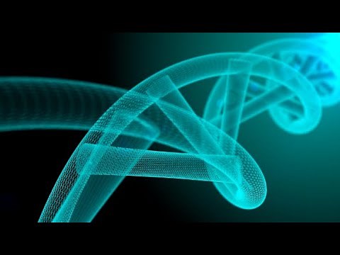 A prime time for gene editing