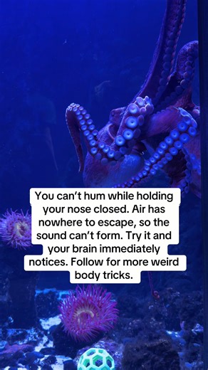 Why You Can't Hum with Your Nose Clipped