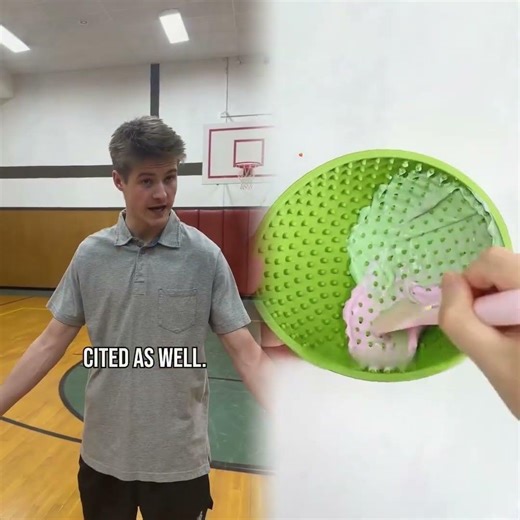 for the lab you have to squat upwards of 500 #americanhighshorts #gymclass #PE #apexams #highschool