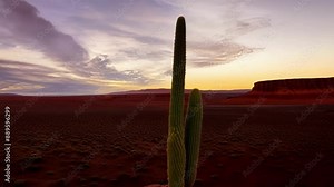 A solitary cactus standing tall in the midst of a vast and barren desert canyon landscape.
