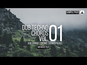 DUB TECHNO CHORDS VOL. 01 / SAMPLE PACK/ 336 Dub Chord One-Shots   Extras