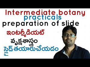 Intermediate botany practicals exams preparation of slide Bhaskar's biology