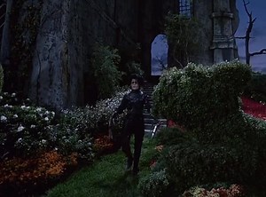The beauty of tim burton films | Tim Burton's World