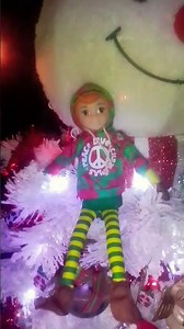 my two elves tinselbottom and jingles