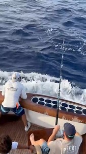 51K views · 596 reactions | Orange Beach, AL - Metal Masher went 3-3 on Blue Marlin on an overnight trip. #MetalMasherSportfishing | BillfishReport.com | Facebook