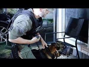 KOBUS HAS BEEN DEPLOYED!